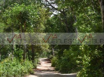 Terreno / Lote · 1000m² · Terreno / Lote en Venta en Macario Gómez