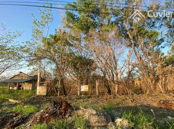 Terreno / Lote · 8897m² · Terreno en Piloto