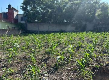 Terreno / Lote , Temixco · Venta de Terreno en Temixco Morelos