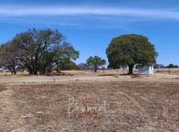 Vista terreno · Venta de Terreno Para Desarrollo Habitacional en Clavijero