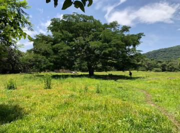 Terreno / Lote , Tepoztlán · Terreno en Venta en Municipio de Tepoztlan, San Andres de La Cal