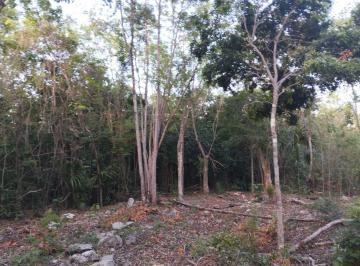 Terreno / Lote , Solidaridad · Terreno en Venta en Playa del Carmen
