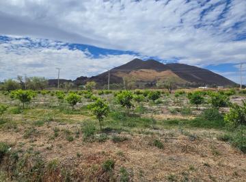 Terreno / Lote , Tala · Terreno en La Cofradía de 35,000 m²