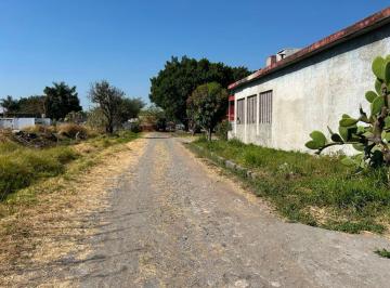 Terreno / Lote · 18453m² · Terreno en Tezoyuca Emiliano Zapata - Crb - 1273 - Tu