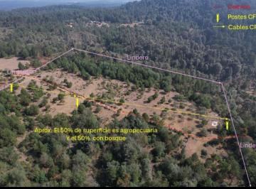 Terreno / Lote , Zacatlán · Pongo a La Venta 6.7 Hectáreas de Terreno en Zacatlán, Puebla.