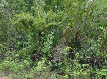 Terreno / Lote , Progreso · Venta de Terreno en Misnébalam