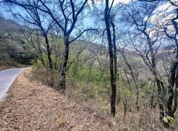 Terreno / Lote , Mineral del Monte · Terreno Rústico de 5,334 m² en Venta – Mineral del Monte, Hidalgo