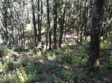Terreno / Lote , Mineral del Monte · Terreno Rústico de 564 m² en Venta Mineral del Monte – $653,800 Mxn