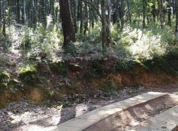 Terreno / Lote , Mineral del Monte · Terreno en Bosque de 564 m² en Venta – Oportunidad Única