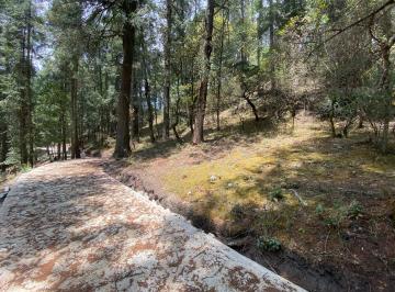 Terreno / Lote , Mineral del Monte · Terreno en Venta en El Bosque 2000 m² – $3,600,000