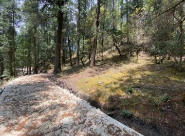 Terreno / Lote , Mineral del Monte · Terreno 1,200 m² en Venta Fracc. Las Flores, Mineral del Monte – $2,400,000 Mxn