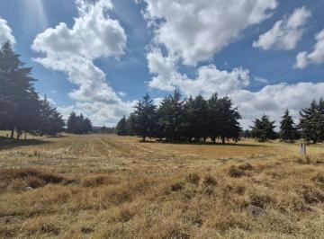 Terreno / Lote · 16620m² · Excelente Terreno Plano con Uso de Suelo a Pie de Carretera