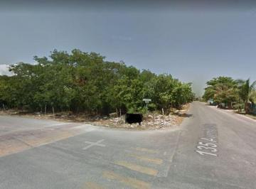 e3cacb002a4957008dd98c94e02d2f7aa10a5d986666c6b46f11a1a4d7fc8ef6 · Venta de Terreno 1 Hectarea en El Ejido Playa del Carmen