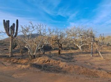 Terreno / Lote , La Paz · Terreno en Venta con Vista Al Mar en Los Cerritos