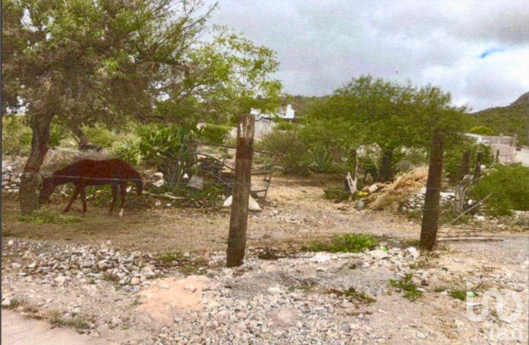 Lot for Sale, West of Villa Hidalgo