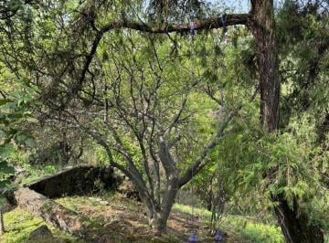 Terreno comercial · 13915000ha · Terreno en Venta Rancho Tetela