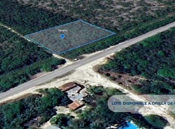 Terreno / Lote , Puerto Morelos · Terreno en Venta Ruta de Los Cenotes Puerto Morelos México