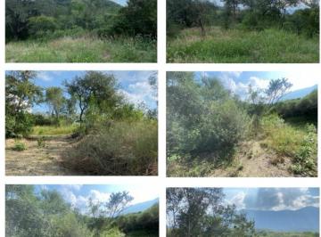 Terreno / Lote · 10654m² · Terreno - Allende