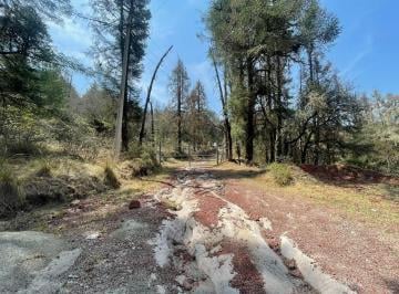 Terreno / Lote , Mineral del Monte · ¡Tu Refugio Natural Te Espera! Terreno Boscoso en Venta