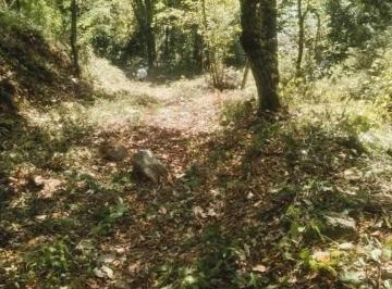 Terreno / Lote , Cuernavaca · Vendo Terreno en El Bosque de Cuernavaca