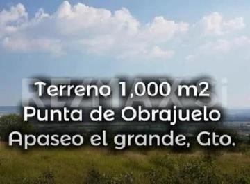Terreno / Lote , Apaseo el Grande · Terreno Venta Apaseo El Grande Punta de Obrajuelo