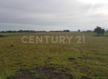 Terreno / Lote · 10000m² · Terreno en Venta en Atlixco, 10,000 m², Zona Tenextepec. Atlixco Pue.