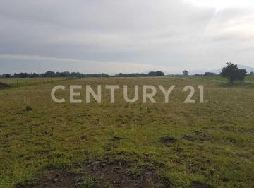 Terreno / Lote · 10000m² · Terreno en Venta en Atlixco, 10,000 m², Zona Tenextepec. Atlixco Pue.