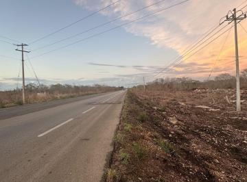 Terreno / Lote , Motul · Terreno en Renta, Motul