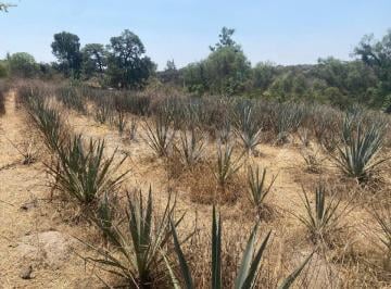 Terreno / Lote · 10193m² · Terreno en Venta Aprox a 3 Km del Crucero Hacia El Arenal