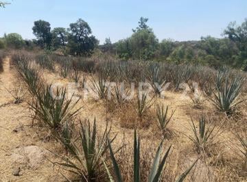 Terreno / Lote · 10193m² · Terreno en Venta Aprox a 3 Km del Crucero Hacia El Arenal