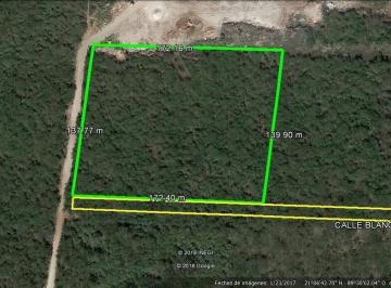 Terreno / Lote , Conkal · Terreno en Venta en Conkal