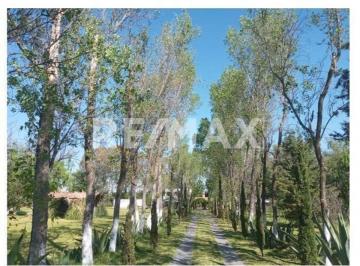 70d568633cf3cdcb40a38dccdf55b0c051dc046b9dece9e8745b6482a75d2f1c · Mvt Quinta en Venta en Jilotepec
