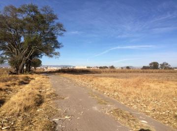 Terreno / Lote · 13500m² · Terreno - San Lucas Tunco