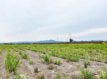 Terreno / Lote · 35000m² · Parcela en Venta de 3.5 Has Cerca de Cuisillos