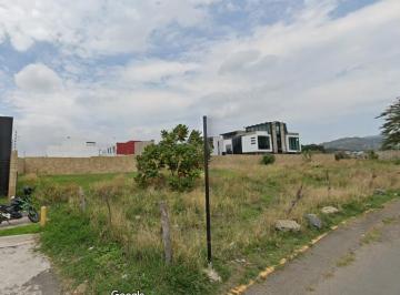 Terreno / Lote · 1000m² · Terreno en Venta y Renta en Arbolada Santa Anita