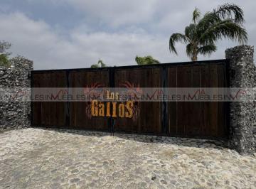 Rancho · 72716m² · Rancho en Venta en Hualahuises Centro