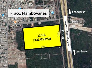 Terreno comercial , Progreso · Vendo Terreno 3 Ha Sobre Carr. Progreso - Mérida