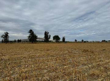Terreno / Lote , Tlajomulco de Zúñiga · Terreno con Excelente Ubicación a Espaldas de Maseca $50,000,000