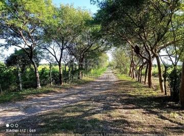 Bodega comercial · 500000m² · Rancho en Venta 50 Ha en Tumbadero, Alama, Ver.