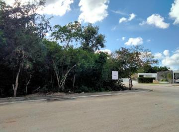 Terreno / Lote , Mérida · Terreno en Venta en La Rejoyada