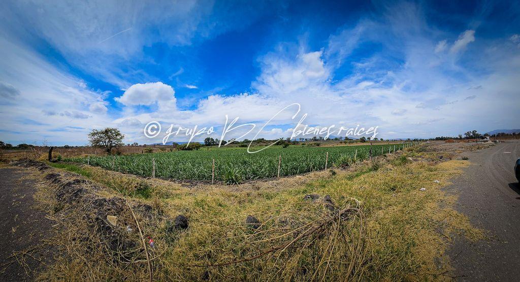 Terreno en Venta en Ameca