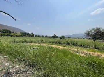 Terreno / Lote · 12ha · Venta Terreno Carretera Yautepec - Jojutla, Tlaltizapán, Morelos $42,000,000