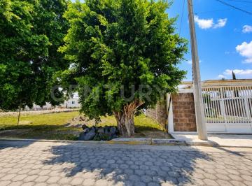 Terreno / Lote · 500m² · Venta de Terreno de 500 m² en Atlixco - Colonia Juan Ulvera