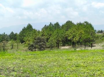 Terreno / Lote · 1700m² · 1700 m² Para Eco Villa. Escritura, Agua y Luz Amealco de Bonfil, Queretaro