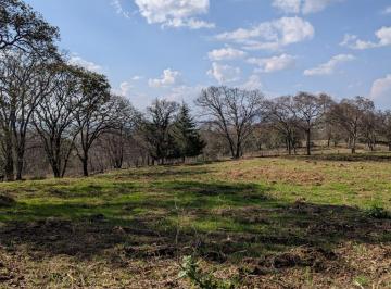 Terreno / Lote · 6000m² · Venta Terreno en Amealco de Bonfil, Queretaro