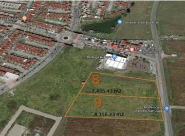 Terreno / Lote , Almoloya de Juárez · Venta de Terreno Comercial/habitacional en Rancho San Juan, Almoloya de Juárez