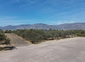 Terreno / Lote , Abasolo · Venta Terreno en Buena Ubicación