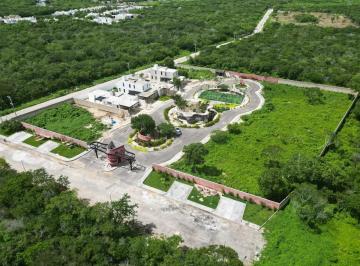 Terreno / Lote , Conkal · Terreno 8,319 m² Ubicado a m Carretera Merida a Chicxulub, Junto a Oviedo Entorno Vivo