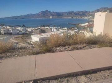 Terreno / Lote · 1000m² · Terreno - San Carlos (San Carlos Nuevo Guaymas)