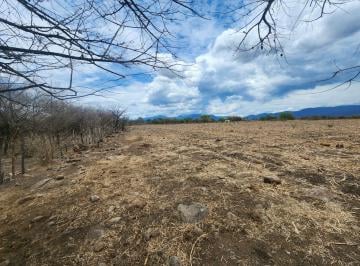 Terreno / Lote · 148754m² · Terreno en Venta en Amacuzac Morelos
